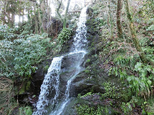 湯河原 不動の滝