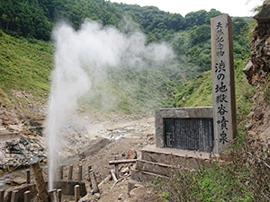 地獄谷野猿公苑