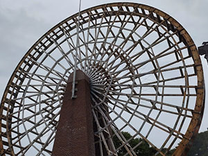 スイスイアメンボ