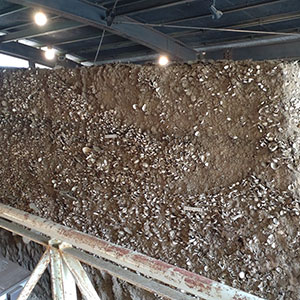 上高津貝塚ふるさと歴史の広場