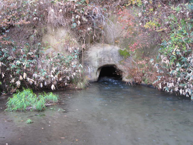 飯盛山 戸ノ口堰洞穴