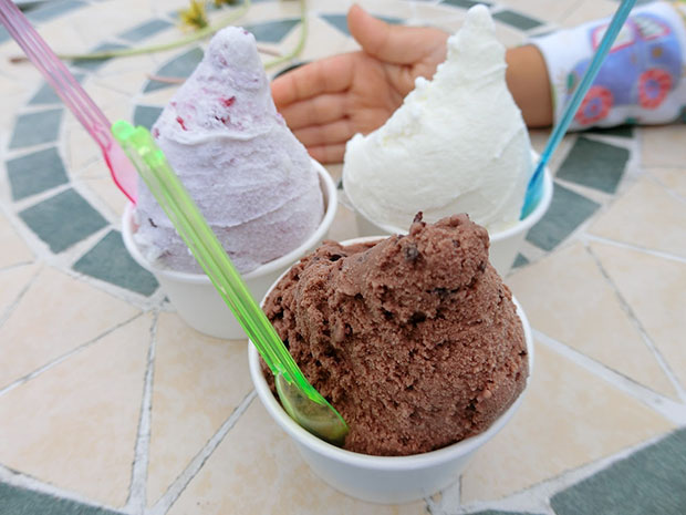 川田牧場 ジェラート 