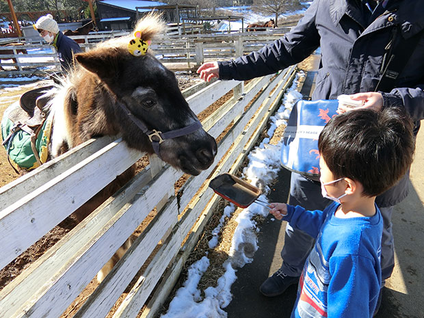 動物とふれあう