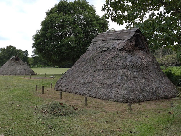 上高津貝塚ふるさと歴史の広場
