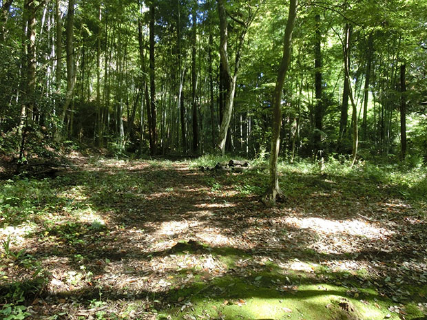 助さんの住居跡