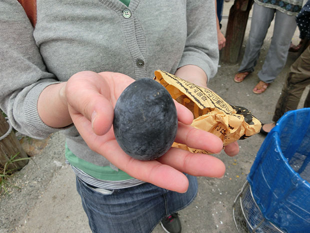 大涌谷 黒たまご