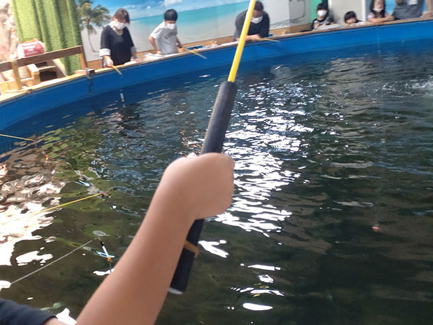 神奈川県 釣って見つける冒険の国