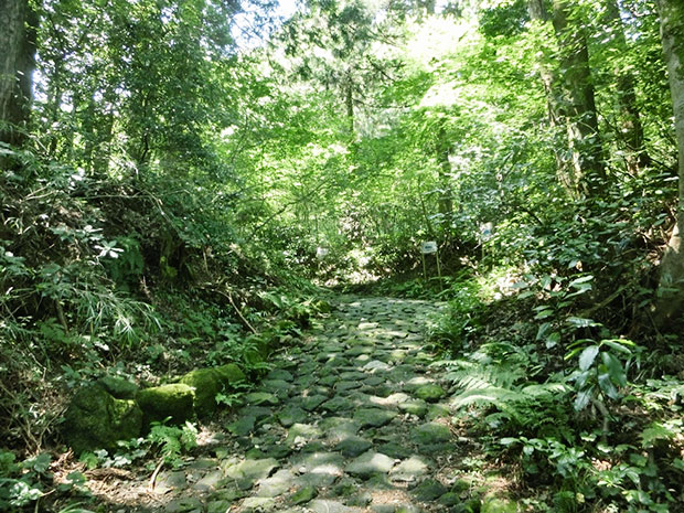 箱根旧街道 石畳