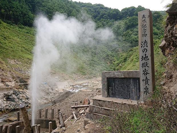 地獄谷野猿公苑