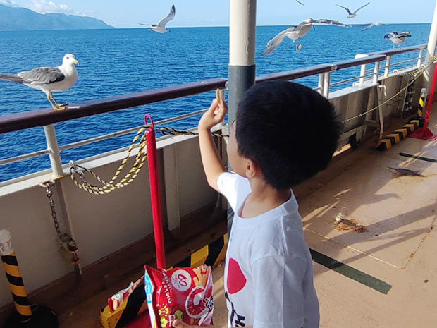佐渡汽船 ウミネコ