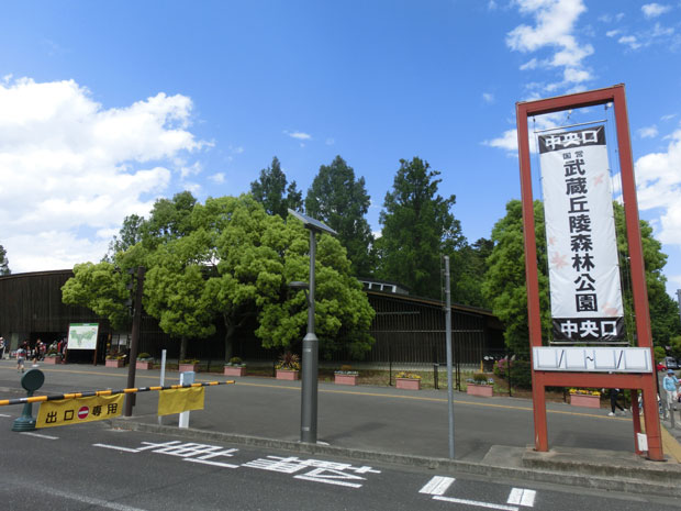 埼玉 国営武蔵丘陵森林公園