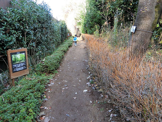 三富今昔村 風エリア