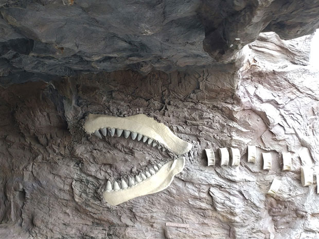 恐竜のホネもどき