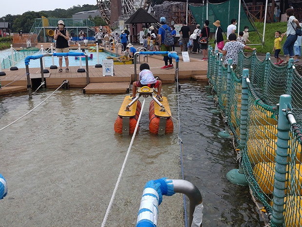 スイスイアメンボ
