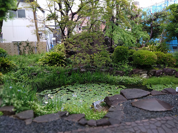 旧藤波家住宅 庭