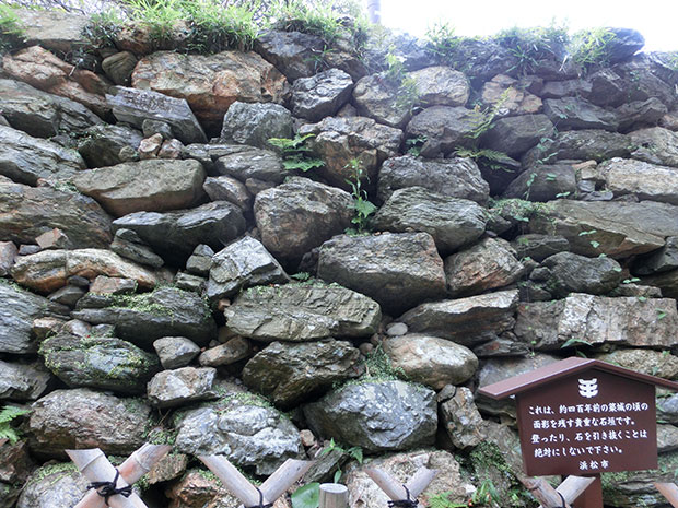 浜松城 野面積み