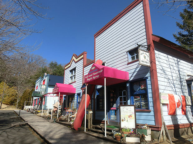 虹の郷 ネルソン駅