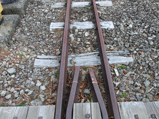 虹の郷 15インチゲージ