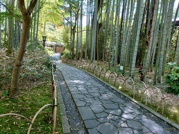 修善寺 竹林の小径