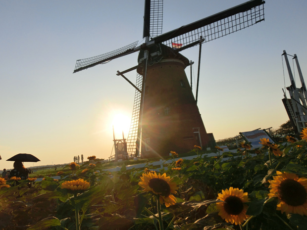 佐倉 ふるさと広場