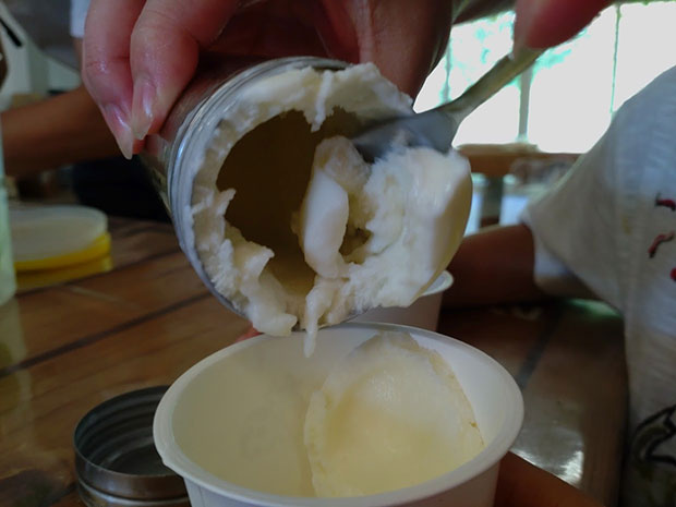 成田ゆめ牧場 ミルクアイス