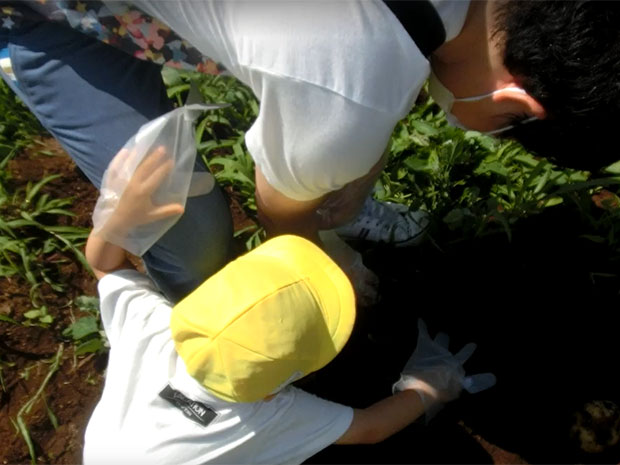 成田ゆめ牧場 収穫体験