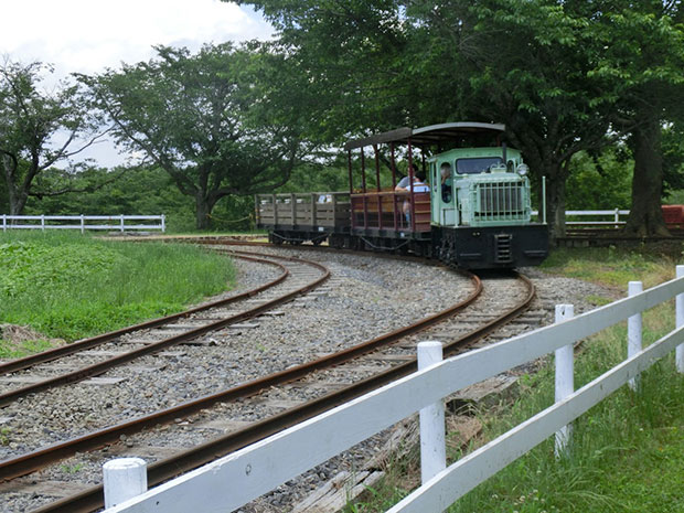 成田ゆめ牧場 トロッコ列車