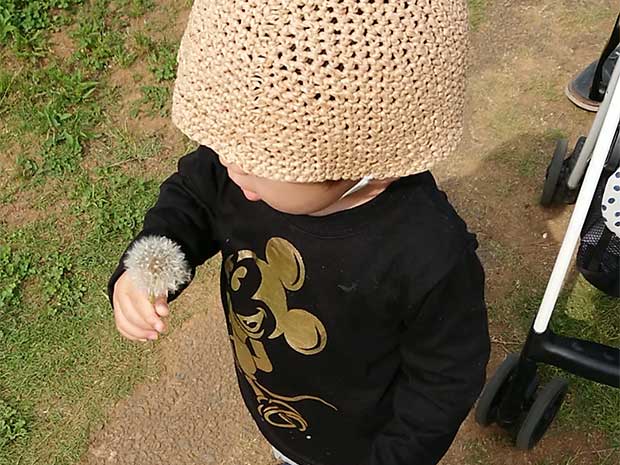 タンポポと息子