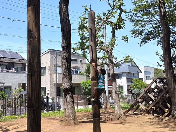 小塚山フィールドアスレチック公園 木登り