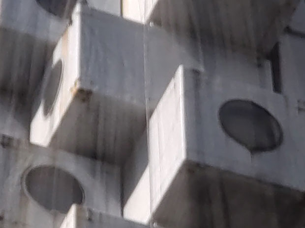 メタボリズム カプセル