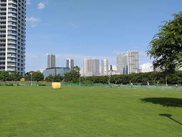 豊洲6丁目公園 芝生広場