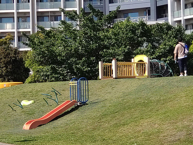 豊洲6丁目公園 土手すべり