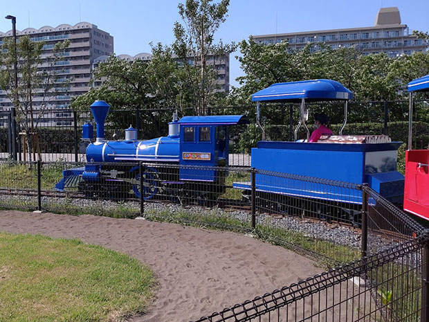 あらかわ遊園 豆汽車