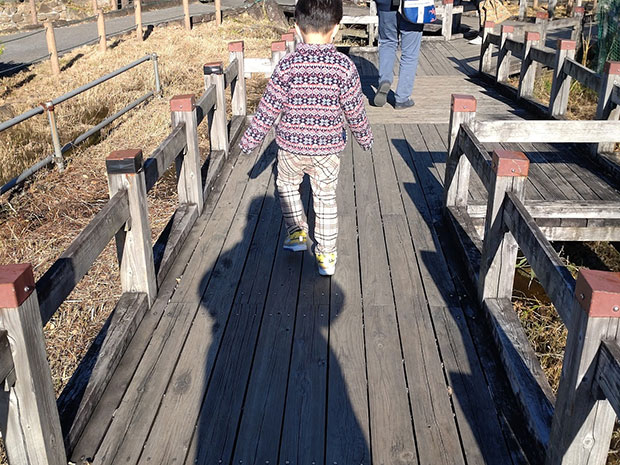 荒川自然公園 お散歩