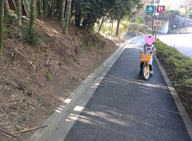 サイクリングコース