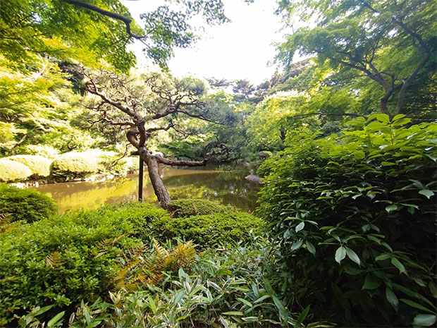 旧朝香宮邸 日本庭園