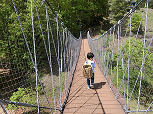 ツインリンク 茂木 森探検