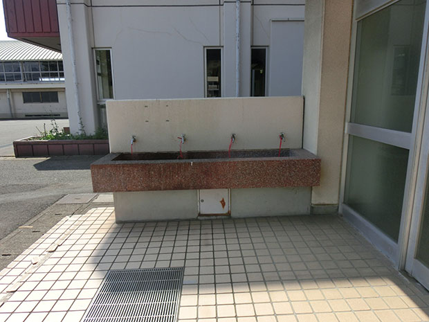 ヨーロッパソーン