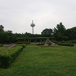 所沢航空記念公園