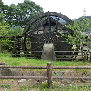 小町ふれあい広場