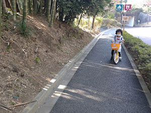 しながわ区民公園