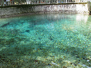 別府弁天池湧水