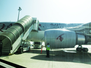 ローマ新婚旅行 再び飛行機