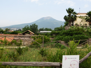 ローマ新婚旅行 大人な飲み物