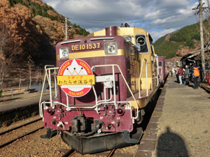 渡良瀬旅行 トロッコ列車