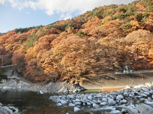 渡良瀬旅行 絶景 紅葉