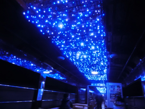 渡良瀬トロッコ列車 イルミネーション