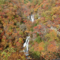 霧降の滝