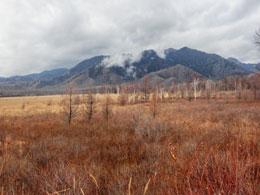 日光旅行 戦場ヶ原