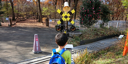 三富今昔村 踏切